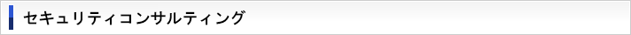 セキュリティコンサルティング